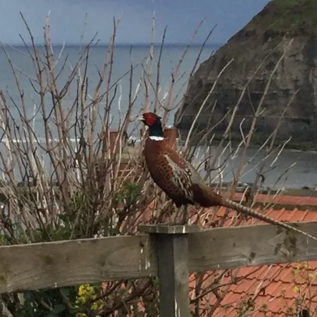 Ferienhaus The Cottage, High Street *